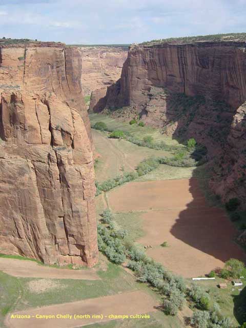 chinle champs cultivs dans le canyon de chelly